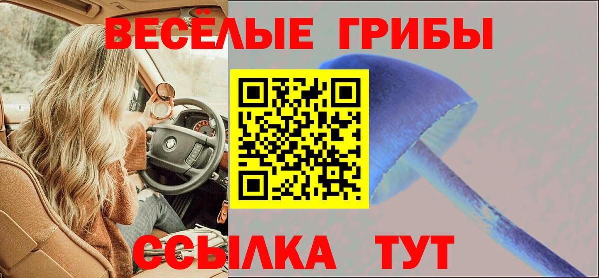 Кисловодск  Галлюциногенные грибы прущие грибы  Вход с VPN 